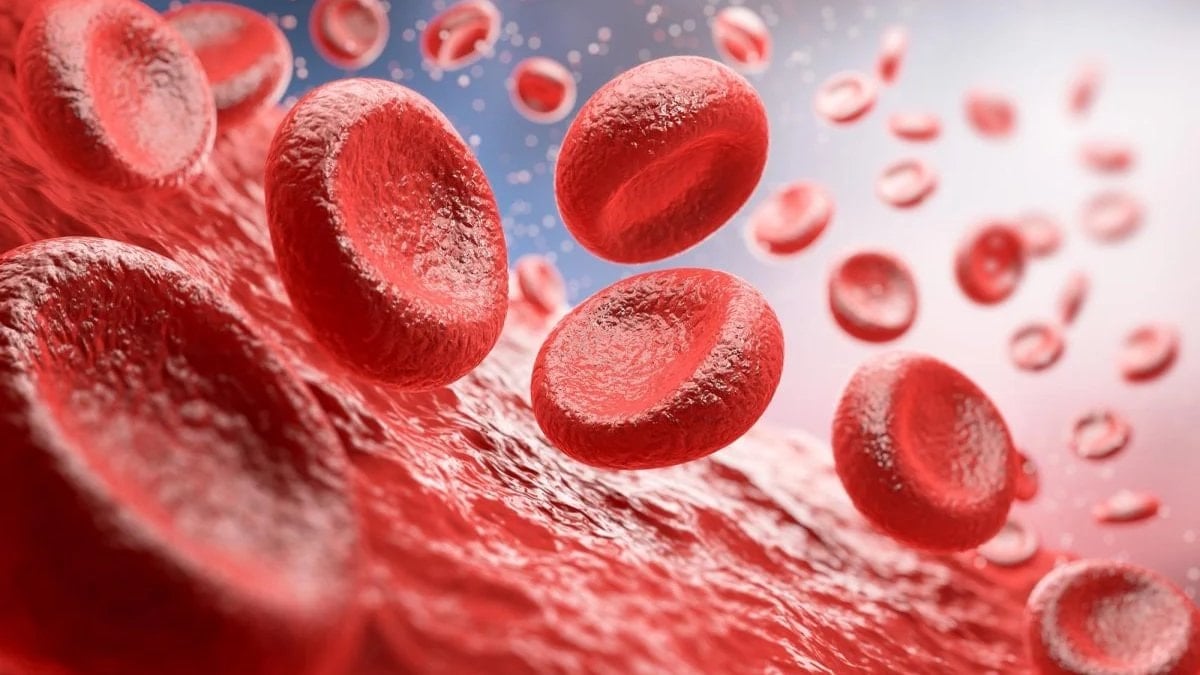 Bilim insanları, 50 yıllık kan grubu gizemini çözdü