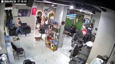 İstanbul'da kuaför salonunda müşterileri kedi kovaladı