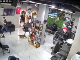 İstanbul'da kuaför salonunda müşterileri kedi kovaladı