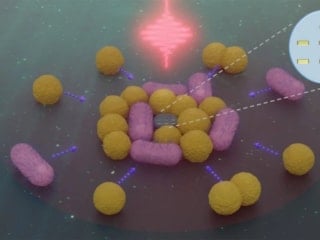 Saç telinden 50 kat daha küçük olan robotlar, bakterileri avlıyor