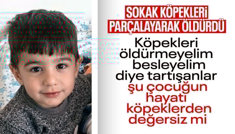 Van'da köpeklerin yaraladığı çocuğun tedavisi sürüyor, kuzeni toprağa verildi