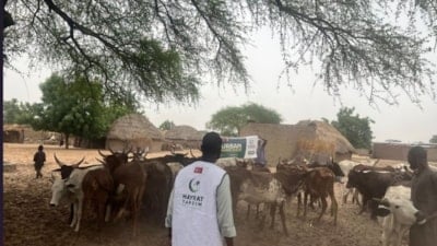 Hayrat Yardım 30’dan Fazla Ülkede Kurban Çalışmalarına Başladı