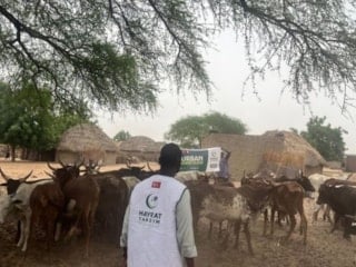 Hayrat Yardım 30’dan Fazla Ülkede Kurban Çalışmalarına Başladı