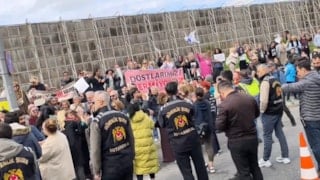 İstanbul İl Hayvanları Koruma Kurulu toplandı: Ötanazi ve üniversite maddeleri kaldırıldı