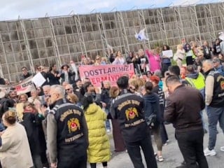 İstanbul İl Hayvanları Koruma Kurulu toplandı: Ötanazi ve üniversite maddeleri kaldırıldı