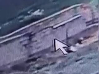 Van'daki köpek saldırısının dehşet anları kamerada