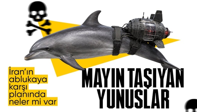 ABD basını yazdı: İran, ablukayı mayın taşıyan yunuslar ile delecek