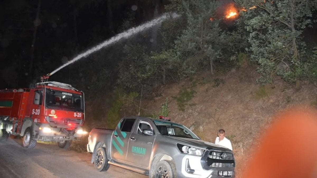 Kahramanmaraş'ta şakalaşırken ormanı yakan şahsa 5 yıl 6 ay hapis cezası verildi