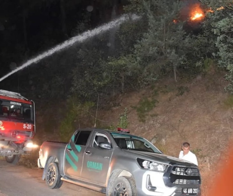 Kahramanmaraş'ta şakalaşırken ormanı yakan şahsa 5 yıl 6 ay hapis cezası verildi