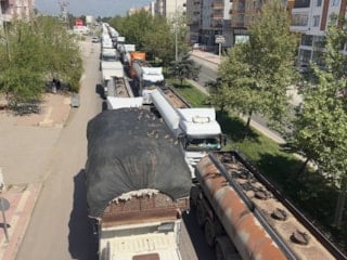 Şanlıurfa'da kırmızı ışık yanınca şölen başlıyor: Kumrular trafikte fırsatı kaçırmıyor