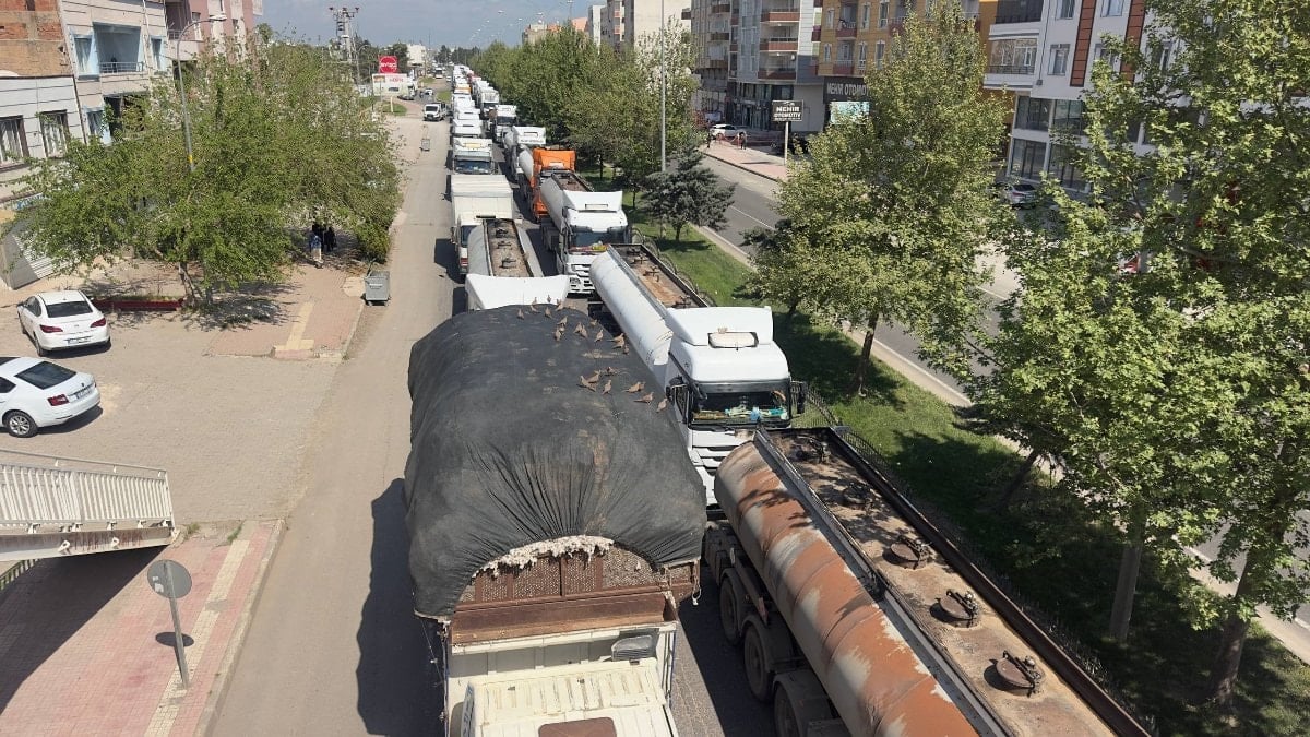 Şanlıurfa'da kırmızı ışık yanınca şölen başlıyor: Kumrular trafikte fırsatı kaçırmıyor