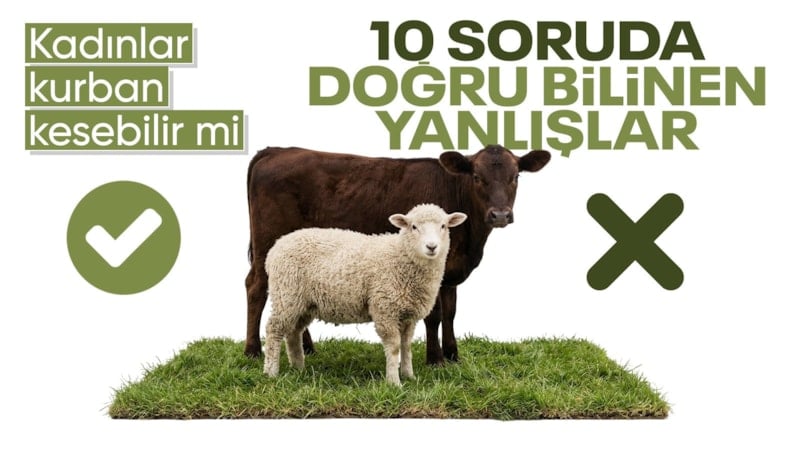 10 soruda kurban ibadeti: İşte doğru bilinen yanlışlar