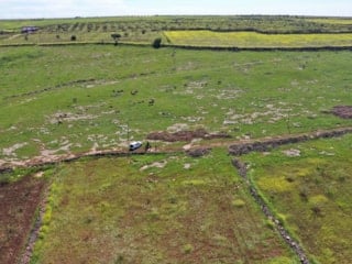 Japonlar ve Çinliler, Şanlıurfa'yı kazacak: Sebebi Göbeklitepe değil