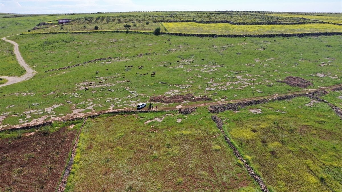 Japonlar ve Çinliler, Şanlıurfa'yı kazacak: Sebebi Göbeklitepe değil