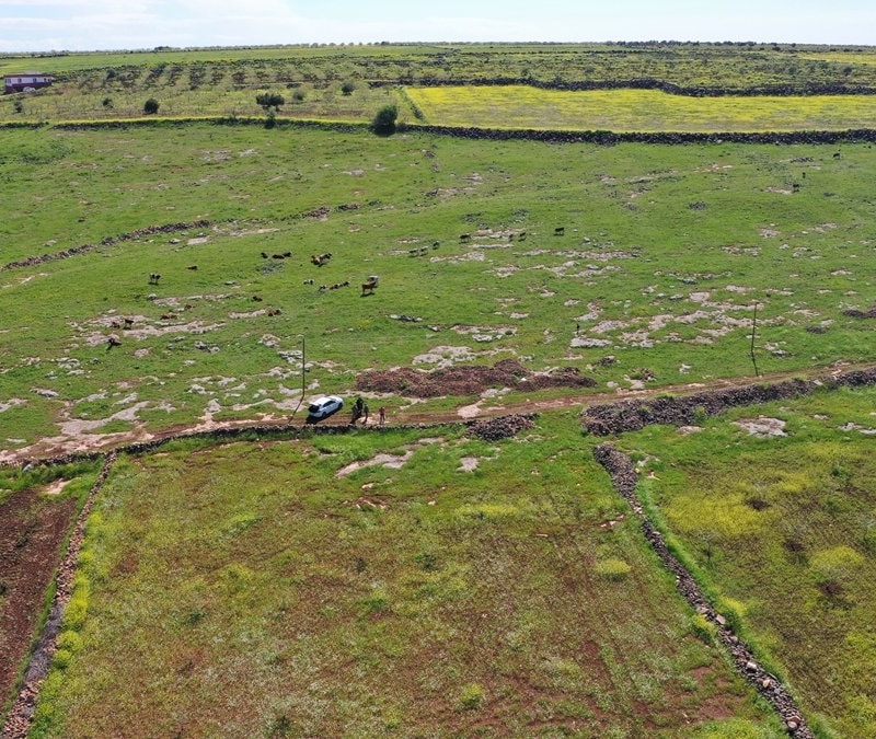 Japonlar ve Çinliler, Şanlıurfa'yı kazacak: Sebebi Göbeklitepe değil