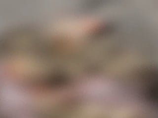 İstanbul'da site mescidinde 4 yavru kedi parçalanarak öldürüldü iddiası