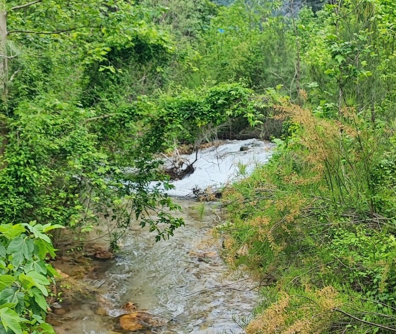 Adana'da yağış sonrası mesire alanları mest etti