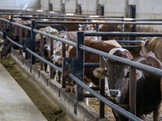 IPARD-III kapsamında tarıma 2,5 milyar lira hibe verilecek