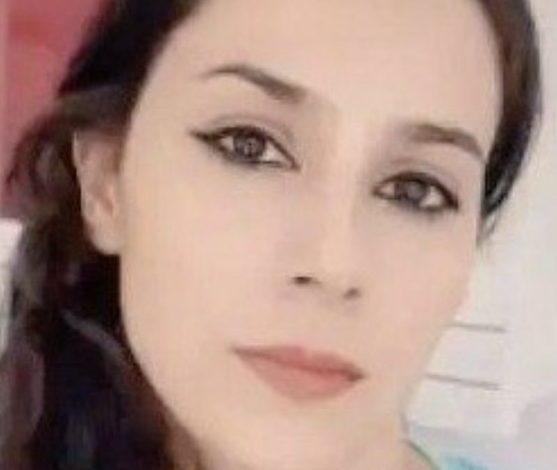 Siirt'te 4 çocuk annesi kadından haber yok