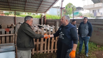 Mersin'de kurban pazarlıkları başladı