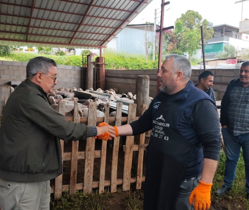 Mersin'de kurban pazarlıkları başladı