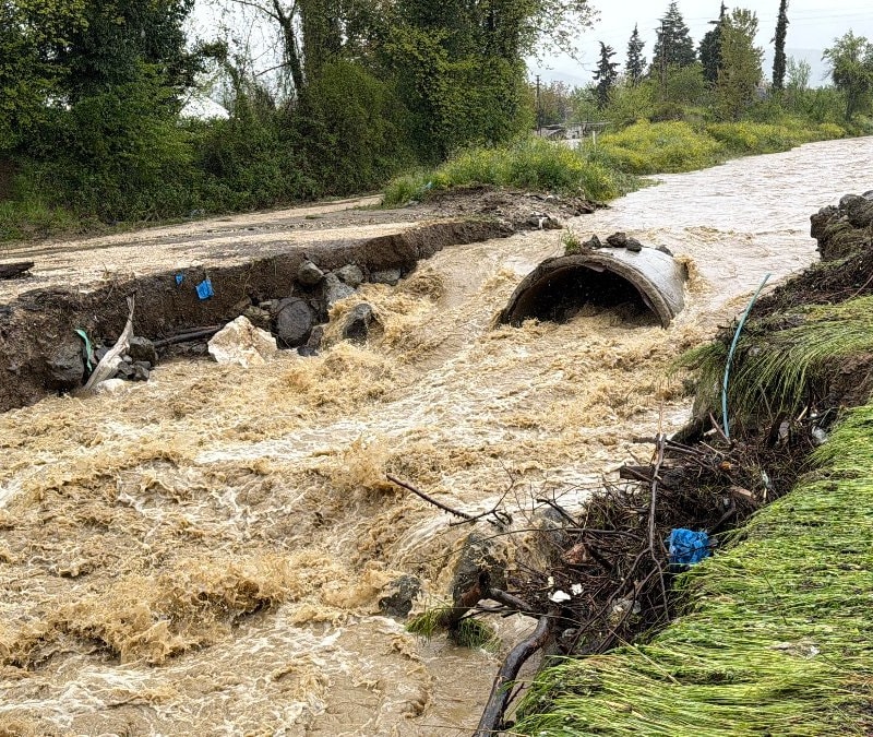 Düzce’de sağanak felaketi: Köprü yıkıldı, evler ve tarlalar sular altında