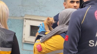İstanbul’da evde elektrikli ocaktan çıkan yangında yavru kedi kurtarıldı