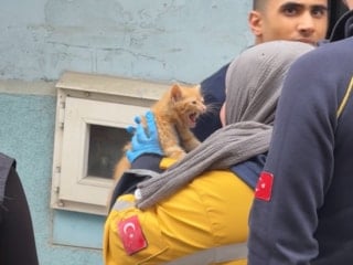 İstanbul’da evde elektrikli ocaktan çıkan yangında yavru kedi kurtarıldı