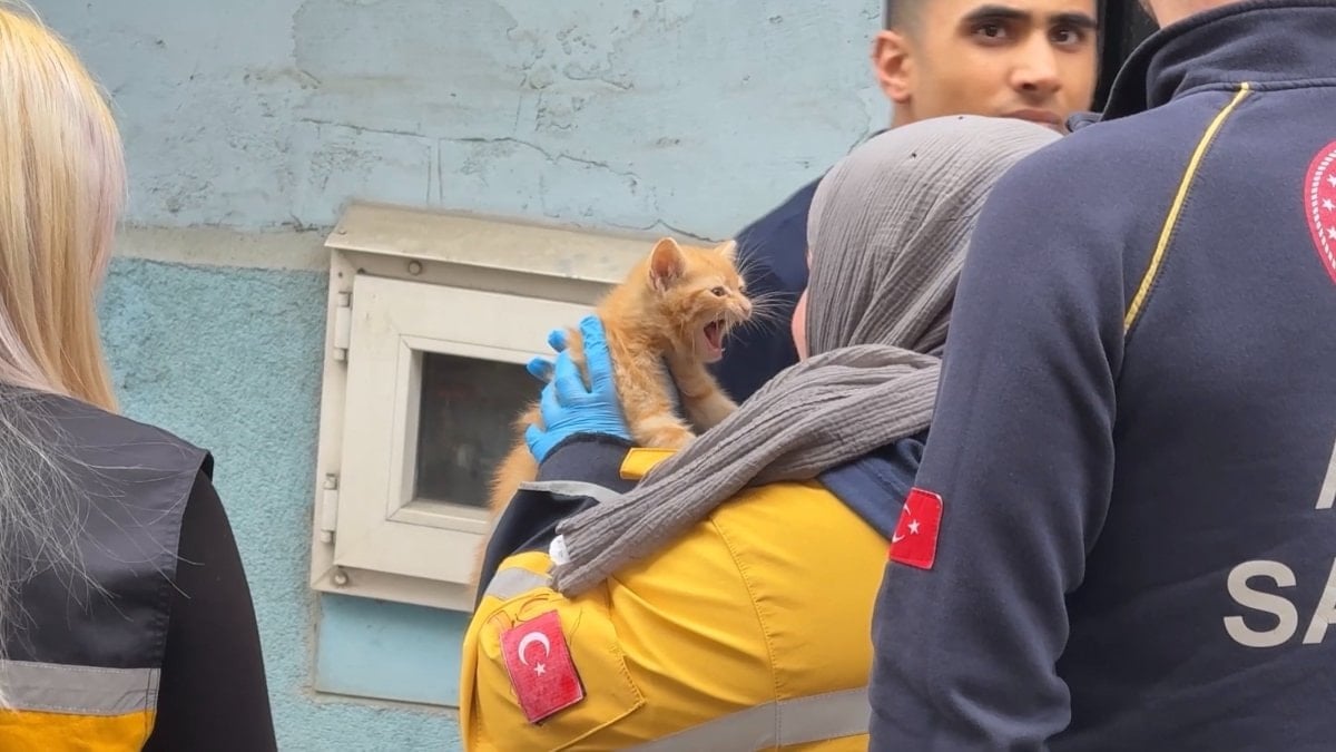 İstanbul’da evde elektrikli ocaktan çıkan yangında yavru kedi kurtarıldı