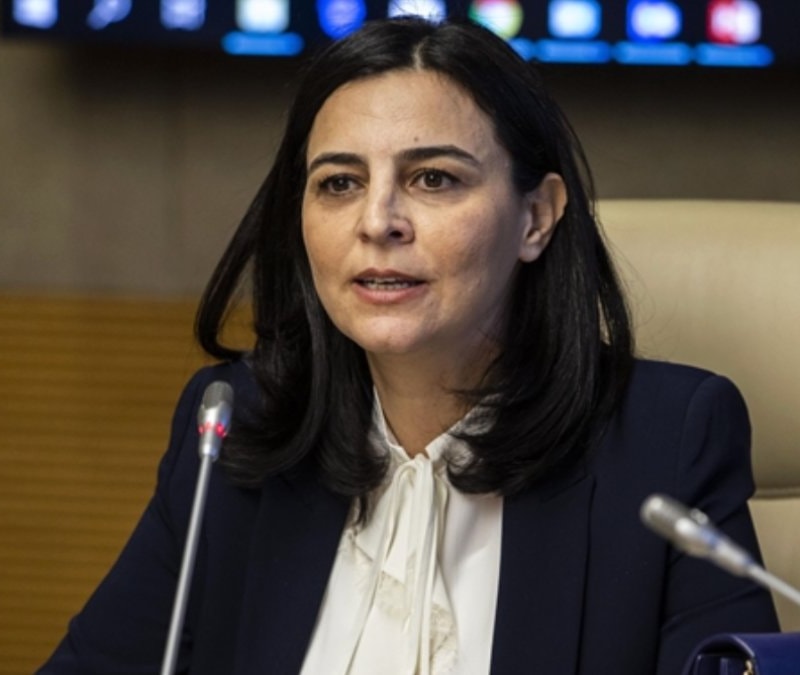 AK Partili Pervin Tuba Durgut: Sokak hayvanları sorununun sebebi insanlar