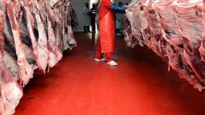 Türkiye'de geçen yıl 1,8 milyon ton kırmızı et üretildi