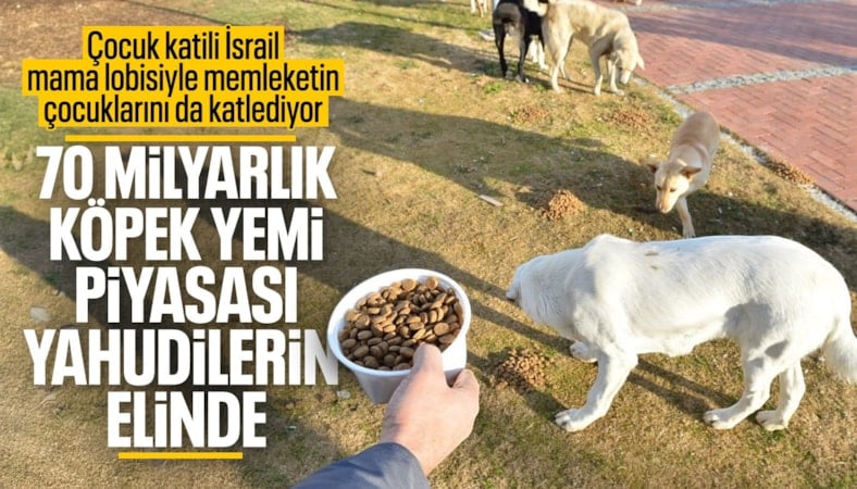 Türkiye'de 70 milyar liralık 'köpek maması' piyasasını Yahudiler yönetiyor