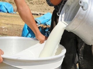 2025'te Türkiye'nin çiğ süt üretimi yüzde 4,9 oranında azaldı