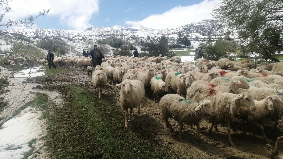 Isparta'da yaylada mahsur kalan çobanlar 30 saat sonra kurtarıldı