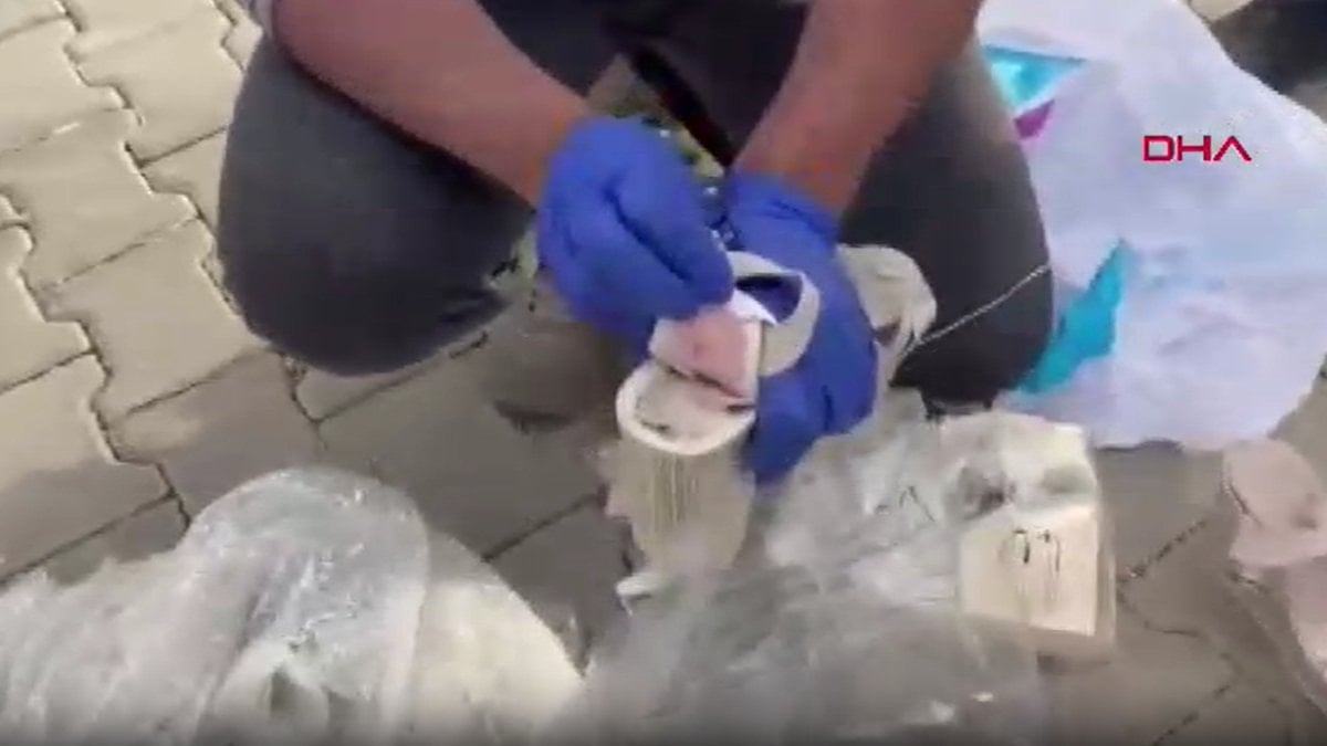 Tokat'ta kadın ayakkabısına gizlenmiş uyuşturucu yakalandı