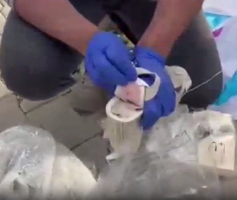Tokat'ta kadın ayakkabısına gizlenmiş uyuşturucu yakalandı