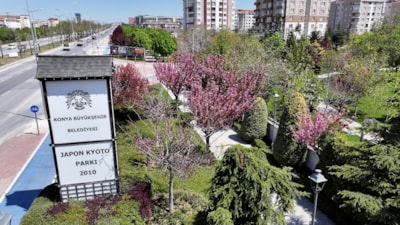 Konya'da sakura mevsimi başladı