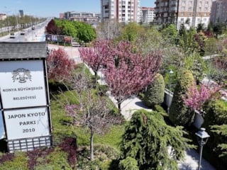 Konya'da sakura mevsimi başladı