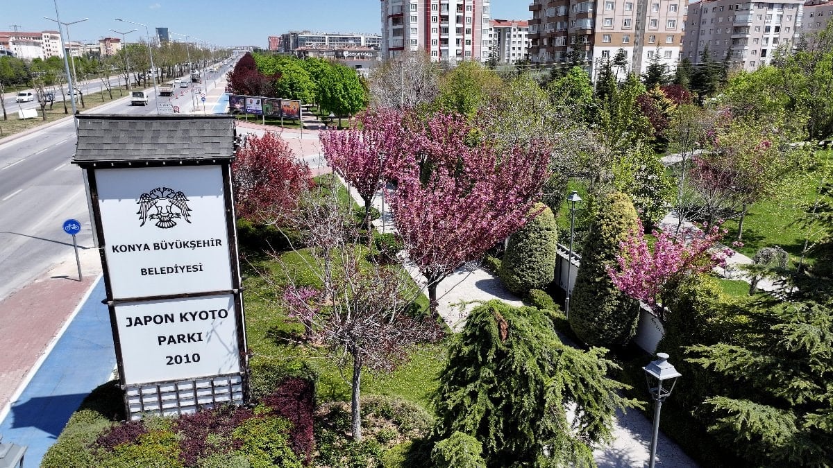 Konya'da sakura mevsimi başladı