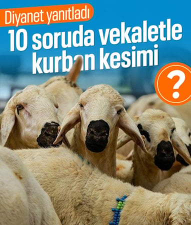 Diyanet açıkladı: 10 soruda vekaletle kurban kesimi