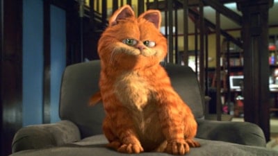 Garfield'ın cinsi ortaya çıktı: İşte gerçek hali