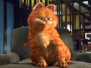 Garfield'ın cinsi ortaya çıktı: İşte gerçek hali