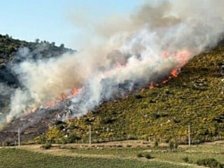 Muğla'da makilik alanda yangın çıktı