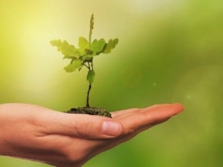 COP31 kapsamında 2'nci 'Çevre ve İklim Medya Turu' düzenlenecek