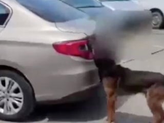 Sakarya'da uyuşturucu operasyonu: 80 kilo uyuşturucu ele geçirildi