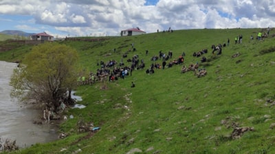 Bingöl'de kaybolan Parkinson hastası emekli öğretmenden acı haber geldi