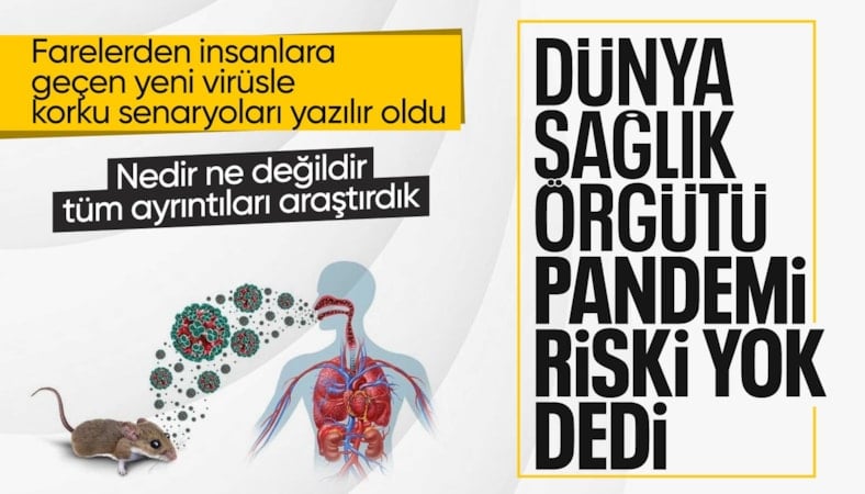 Dünya hantavirüs vakalarını konuşuyor: İşte son durum