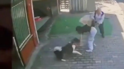 İstanbul'da köpek dehşeti: Küçük kızın kolunu ısırdı