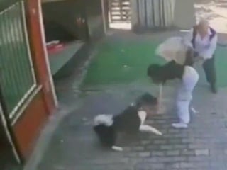 İstanbul'da köpek dehşeti: Küçük kızın kolunu ısırdı