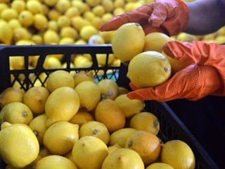 Limon seçerken rengine değil, o detaya bakın